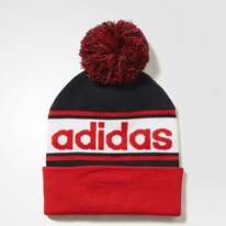 Čiapka Adidas LINEAR WOOLIE red