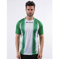 Futbalový dres Givova SHIRT STRIPE green/white