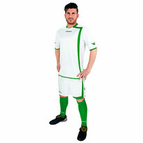 FUTBALOVÝ DRES GRENOBLE white/green